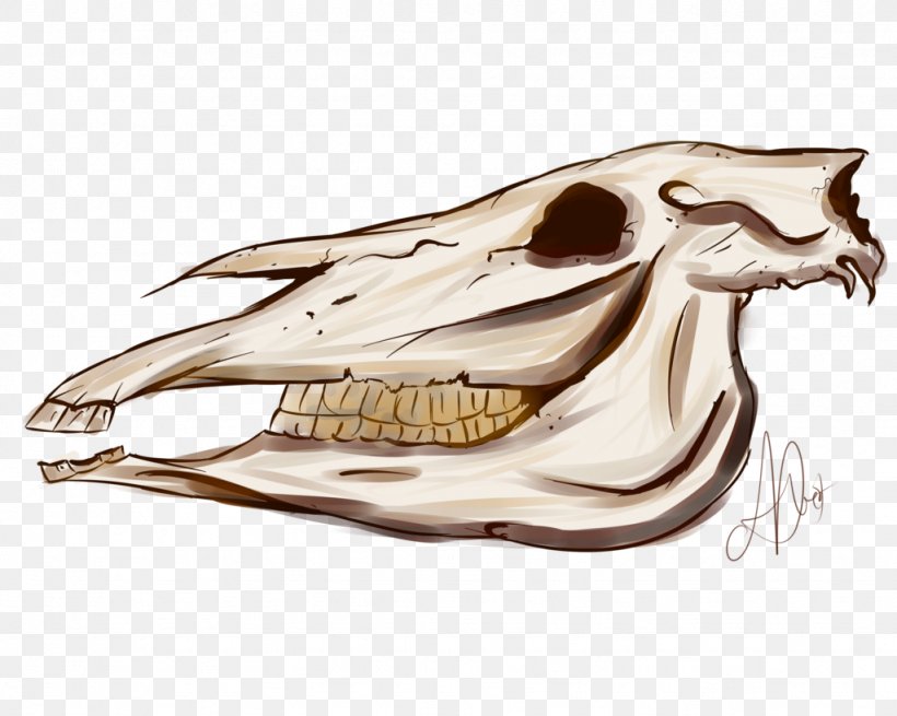 Skull Skeleton Automotive Design Car, PNG, 1024x819px, Skull, Automotive Design, Bone, Car, Fish Download Free