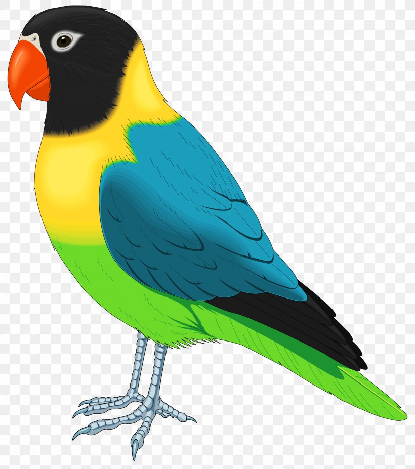 Bird Parrot Pet Parakeet Clip Art, PNG, 2725x3081px, Bird, Beak, Bird Flight, Common Pet Parakeet, Fauna Download Free