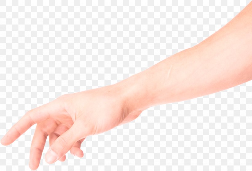 Finger Hand Skin Arm Gesture, PNG, 1024x697px, Finger, Arm, Elbow, Gesture, Hand Download Free