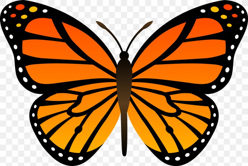 Monarch Butterfly Drawing Insect Clip Art, PNG, 1600x1076px, Butterfly, Animal, Arthropod, Artwork, Brush Footed Butterfly Download Free