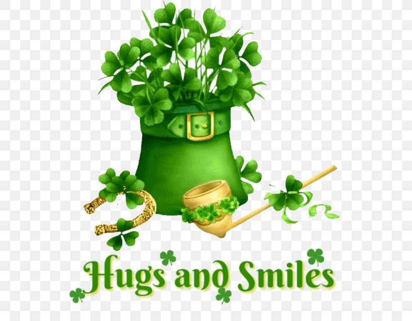 Saint Patrick's Day Happy St. Patrick's Day GIF Luck Irish People, PNG, 561x640px, Saint Patricks Day, Clover, Flowering Plant, Flowerpot, Fourleaf Clover Download Free