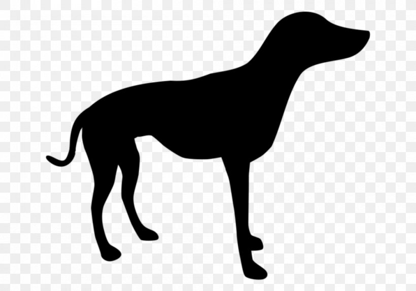 Dogo Argentino Alaskan Husky Dobermann Vector Graphics Royalty-free, PNG, 1000x700px, Dogo Argentino, Alaskan Husky, Canidae, Carnivore, Dobermann Download Free