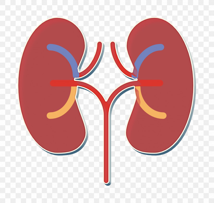Medical Asserts Icon Kidney Icon, PNG, 1238x1176px, Medical Asserts Icon, Footwear, Kidney Icon, Line, Red Download Free