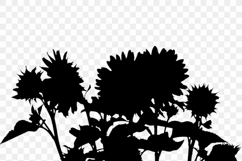 Plant Stem Desktop Wallpaper Flowering Plant Font, PNG, 960x638px, Plant Stem, Black, Black M, Blackandwhite, Botany Download Free
