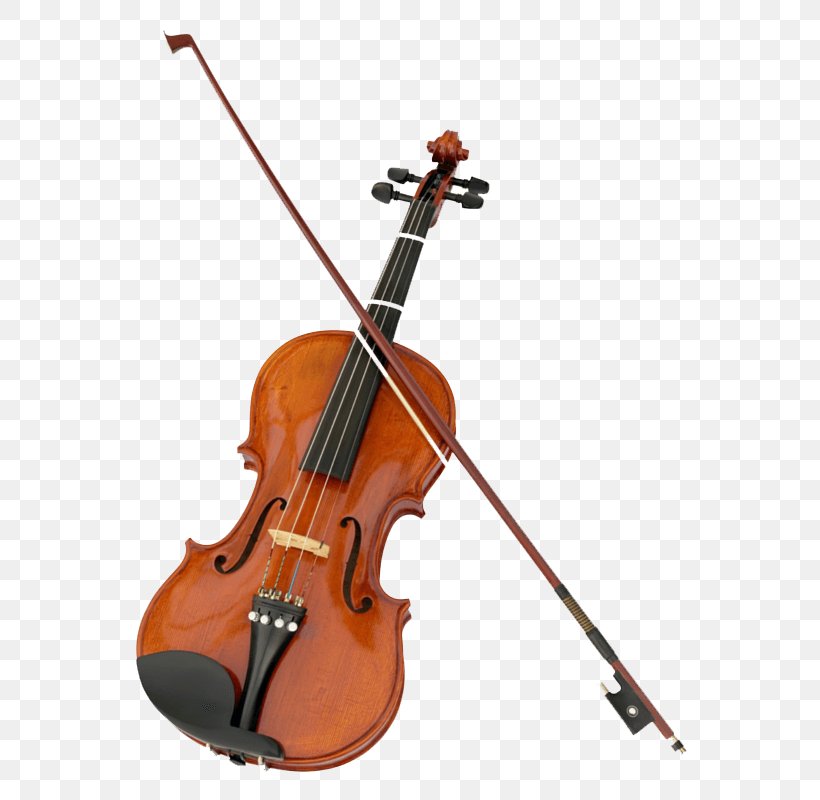 Violin Stock Photography Musical Instruments String Instruments Fiddle, PNG, 800x800px, Watercolor, Cartoon, Flower, Frame, Heart Download Free