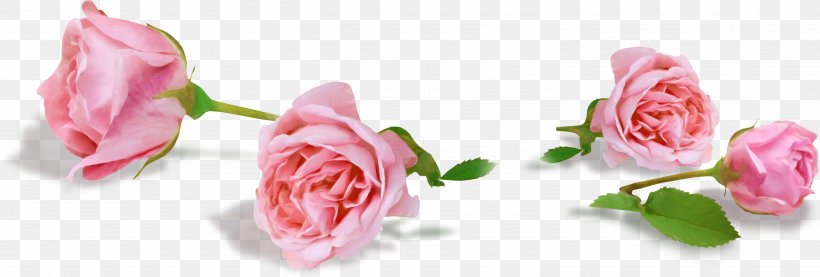 Flower Rose Clip Art, PNG, 2998x1013px, Flower, Artificial Flower, Bud, Cut Flowers, Floral Design Download Free