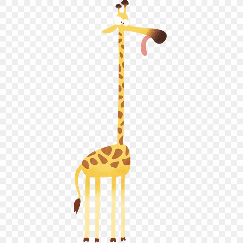 Giraffe, PNG, 892x892px, Giraffe, Giraffidae, Mammal, Vertebrate Download Free
