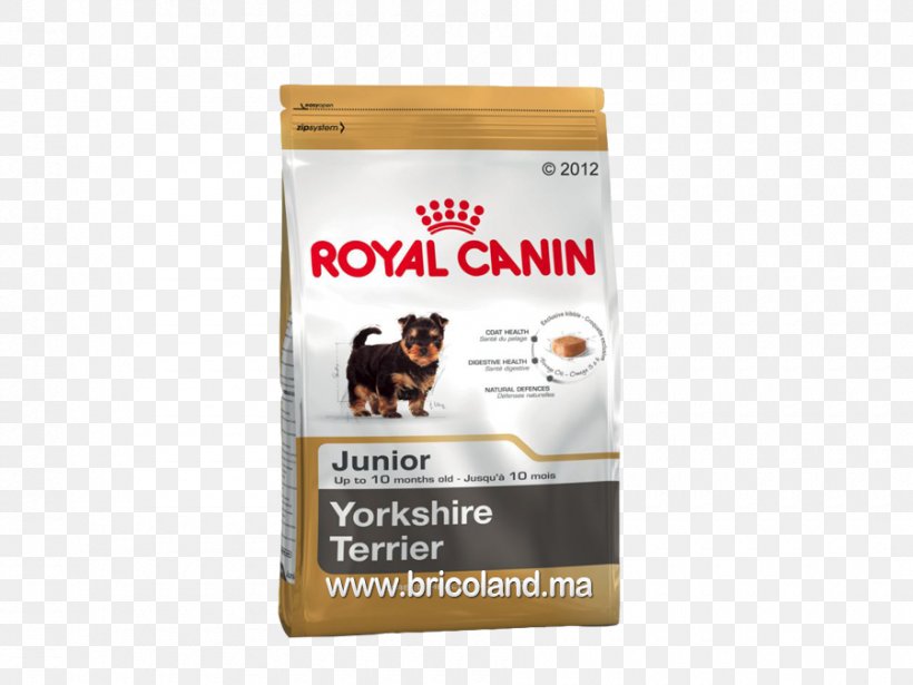 Yorkshire Terrier German Shepherd Cat Royal Canin Dog Food, PNG, 900x675px, Yorkshire Terrier, Breed, Cat, Dog, Dog Breed Download Free