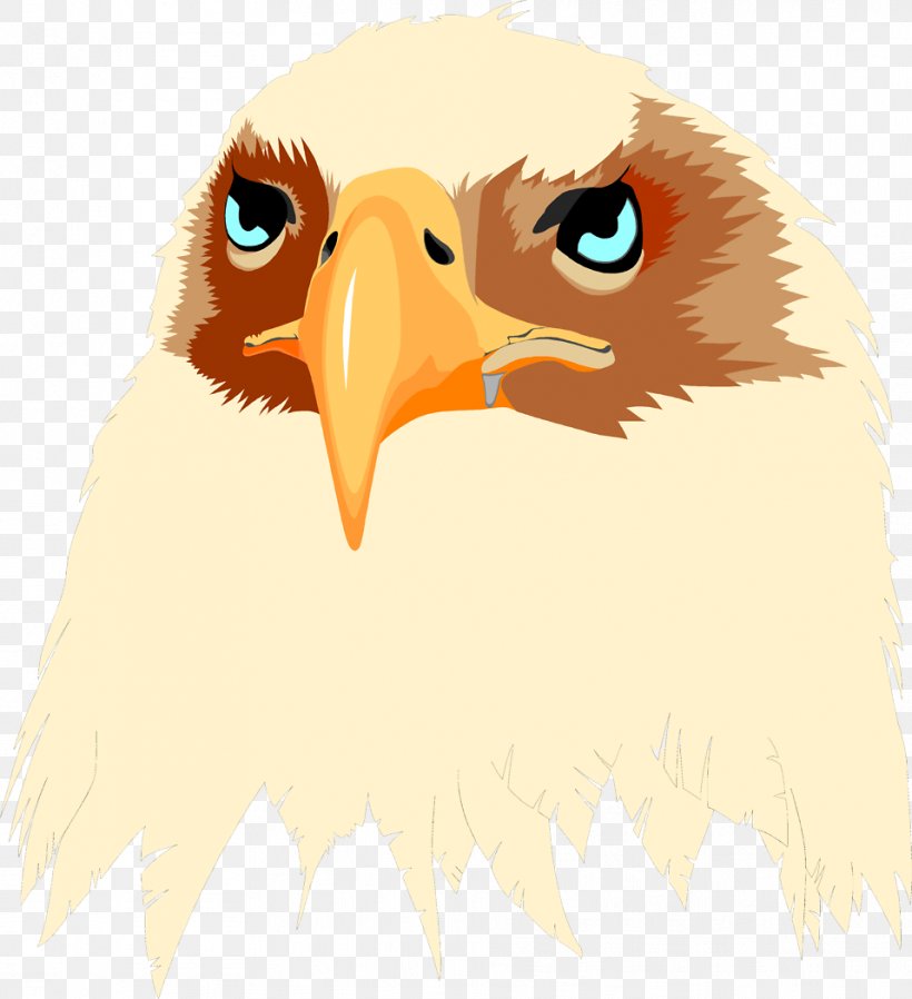 Bald Eagle T-shirt Bird Hoodie, PNG, 958x1050px, Bald Eagle, Accipitriformes, Beak, Bird, Bird Of Prey Download Free
