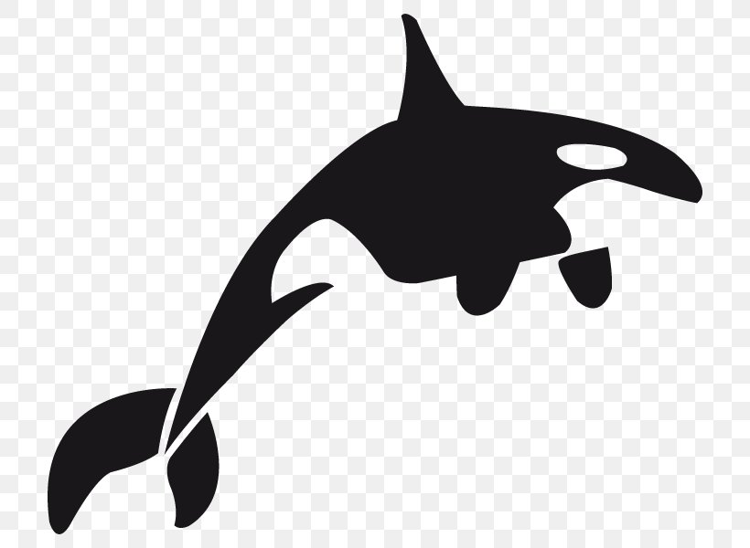 Dolphin Killer Whale Toothed Whale Whales Clip Art, PNG, 800x600px, Dolphin, Animal, Beak, Black And White, Cetaceans Download Free