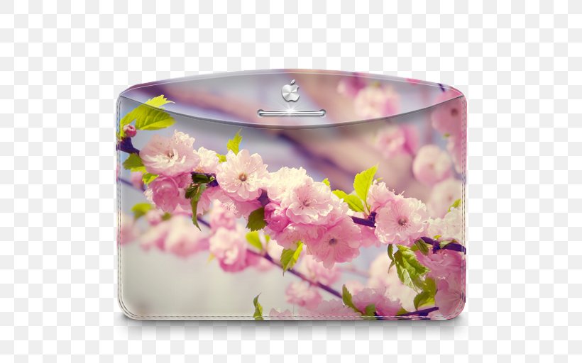 Flower Arranging Blossom Petal Floral Design, PNG, 512x512px, 4k Resolution, Flower, Blossom, Cherry Blossom, Computer Download Free
