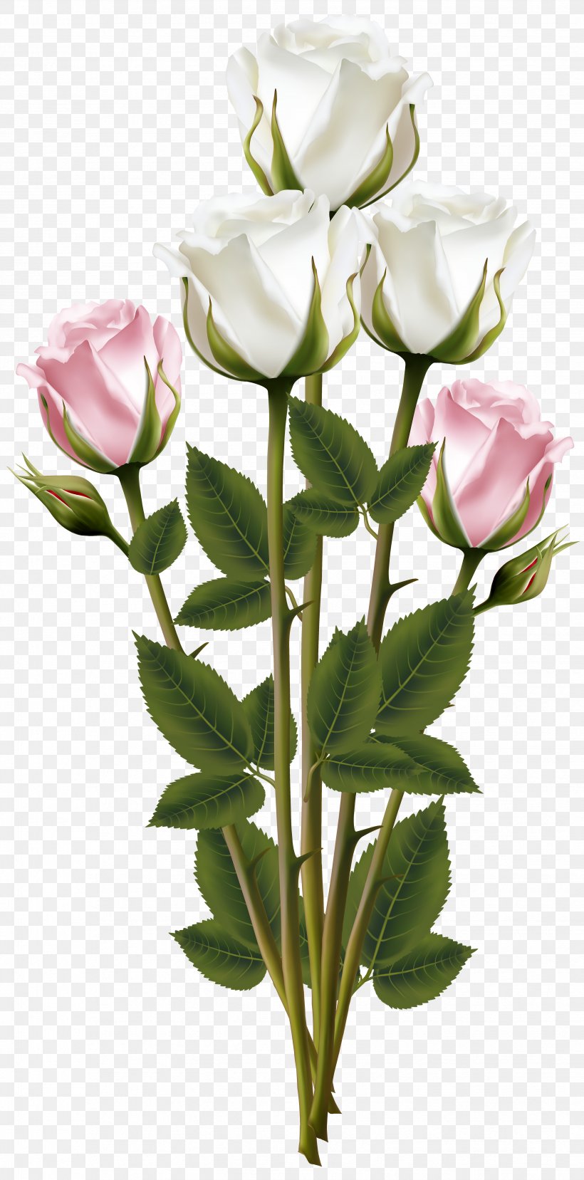 Flower Bouquet, PNG, 3463x7000px, Rose, Artificial Flower, Bud, Color, Cut Flowers Download Free
