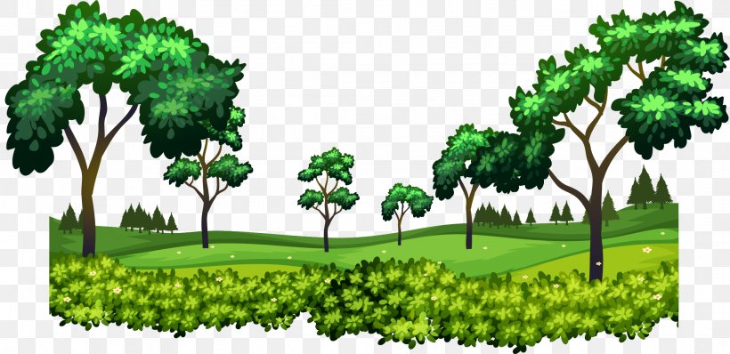 Forest Vecteur, PNG, 2193x1065px, Forest, Biome, Branch, Conifer, Drawing Download Free
