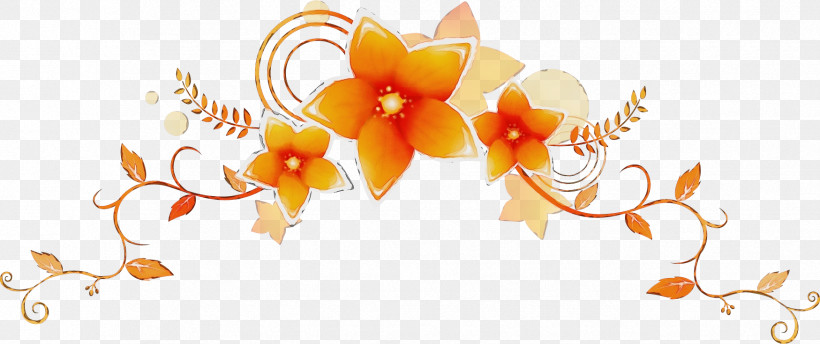 Orange, PNG, 1749x735px, Flower Border, Cattleya, Dendrobium, Flower, Flower Background Download Free