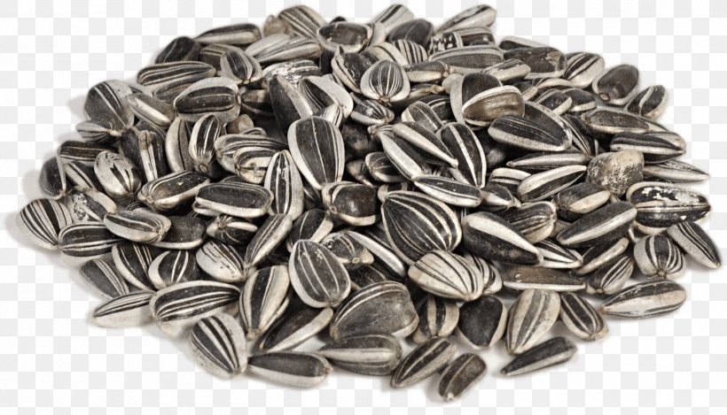Vegetarian Cuisine Sunflower Seed Nut Fodder, PNG, 1500x859px, Vegetarian Cuisine, Black And White, Buckwheat, Carob Tree, Cereal Download Free