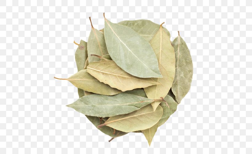 Bay Laurel Indian Cuisine Spice Bay Leaf Herb, PNG, 500x500px, Bay Laurel, Bay Leaf, Commodity, Cuisine, Cumin Download Free