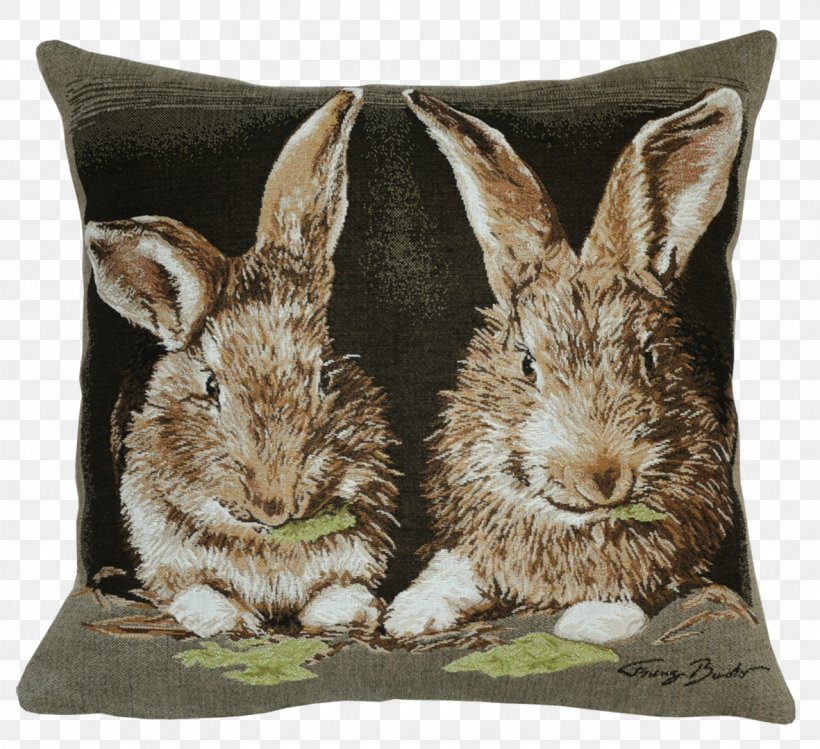Domestic Rabbit Cushion Throw Pillows European Rabbit, PNG, 1181x1079px, Domestic Rabbit, Belgium, Cart, Cushion, European Rabbit Download Free