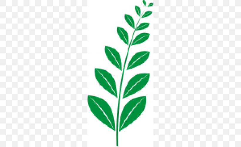 Leaf Plant Stem, PNG, 500x500px, Leaf, Branch, Grass, Organism, Plant Download Free