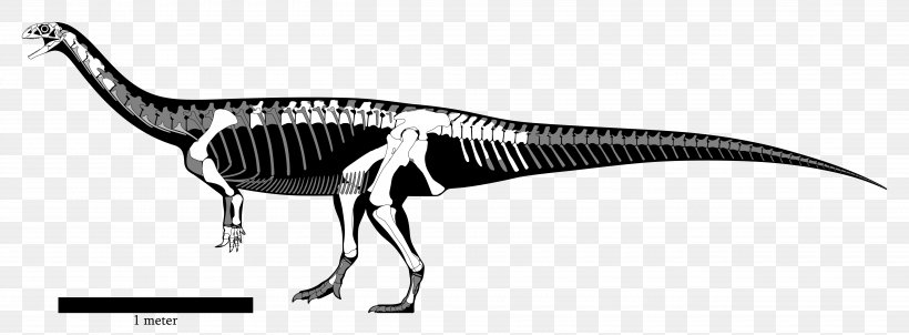 Yunnanosaurus Lufengosaurus Sinosaurus Anchisaurus Aardonyx, PNG, 5244x1932px, Yunnanosaurus, Aalenian, Aardonyx, Anchisaurus, Bajocian Download Free