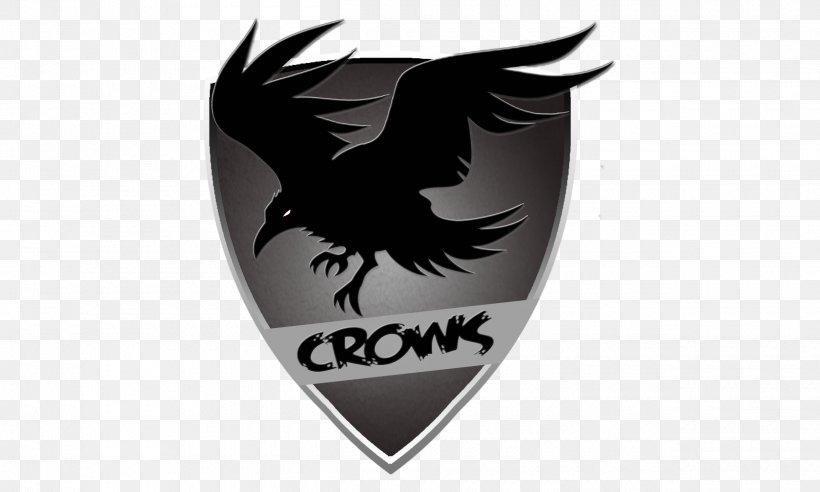 Eagle Logo Font Brand, PNG, 2500x1500px, Eagle, Bird, Bird Of Prey, Brand, Emblem Download Free