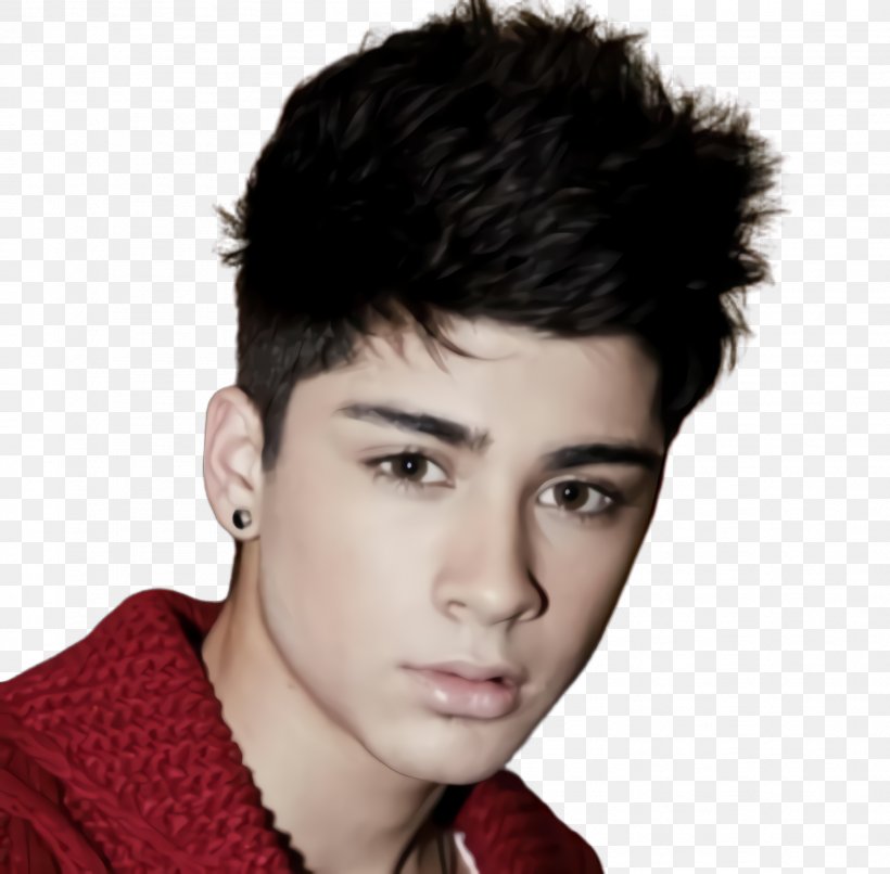 Hair Cartoon, PNG, 2016x1984px, Zayn Malik, Black Hair, Brown Hair, Celebrity, Cheek Download Free