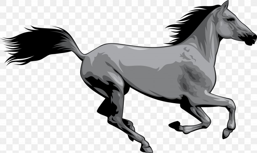 Mustang American Paint Horse Wild Horse Clip Art, PNG, 3639x2170px, Mustang, American Paint Horse, Animal, Black And White, Bridle Download Free