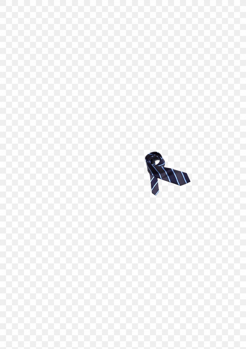 Necktie Vecteur Icon, PNG, 3071x4370px, Necktie, Bird, Gratis, Resource, Vecteur Download Free