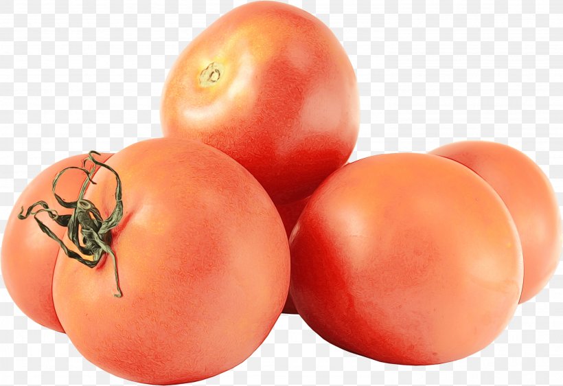 Onion Cartoon, PNG, 2976x2043px, Vegetable, Aubergines, Bush Tomato, Cherry Tomato, Cherry Tomatoes Download Free
