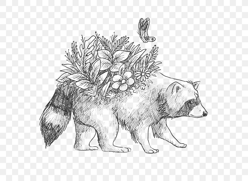 Raccoon Wolf Drawing Bear Image, PNG, 600x600px, Raccoon, Animal, Art, Bear, Black And White Download Free