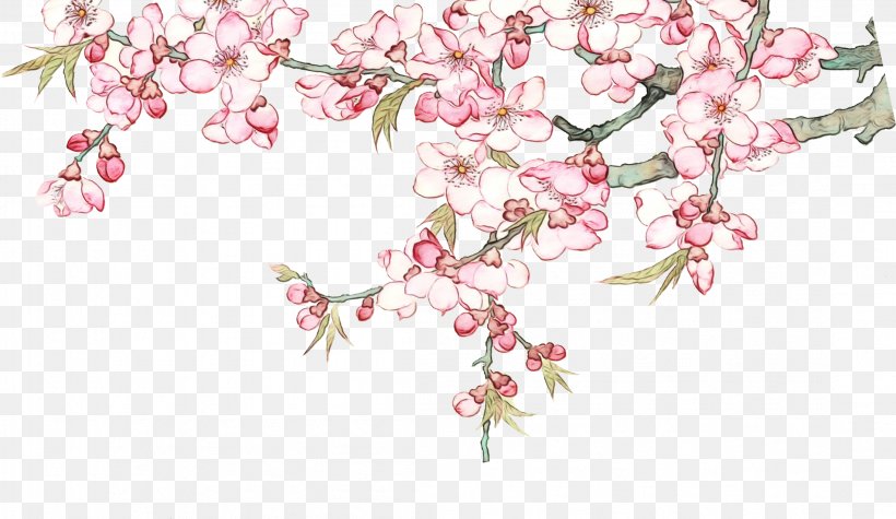 Cherry Blossom, PNG, 2197x1273px, Watercolor, Blossom, Branch, Cherry Blossom, Flower Download Free