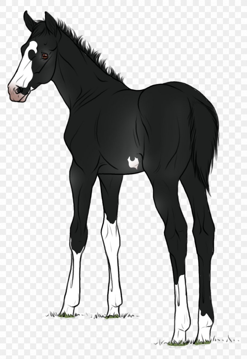 Foal Mustang Stallion Colt Mare, PNG, 825x1200px, Foal, Bridle, Cartoon, Character, Colt Download Free