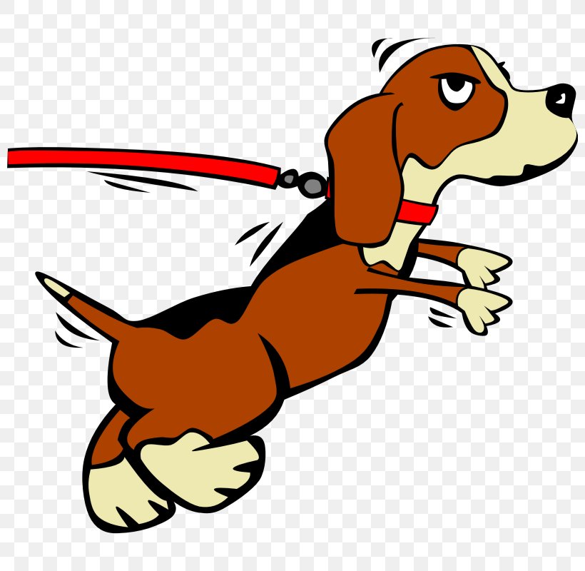 Leash Beagle Clip Art, PNG, 800x800px, Leash, Area, Artwork, Beagle, Carnivoran Download Free