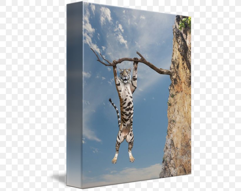 Ocelot Tiger Cat Gallery Wrap Canvas, PNG, 494x650px, Ocelot, Art, Big Cat, Big Cats, Canvas Download Free