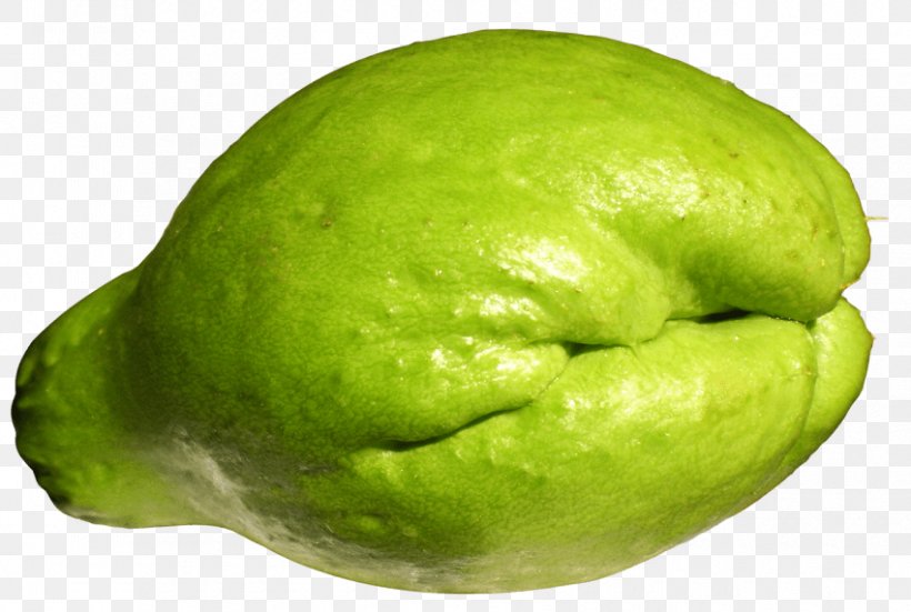 Chayote Gourd Vegetable Melon Squash, PNG, 850x572px, Chayote, Avocado, Calabaza, Citron, Citrus Download Free
