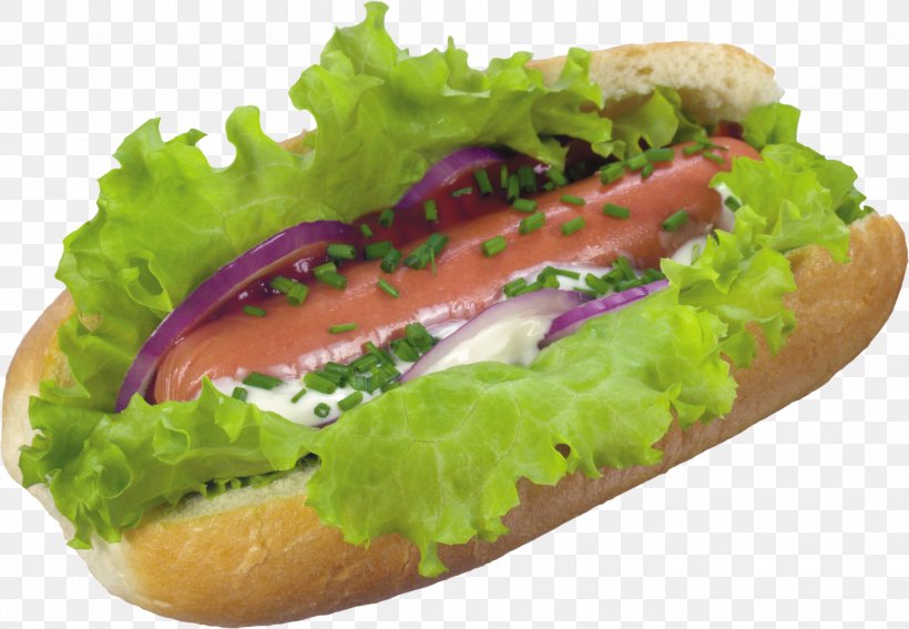 Hot Dog Fast Food Hamburger Shawarma Breakfast Sandwich, PNG, 2936x2032px, Hot Dog, Breakfast Sandwich, Chicago Style Hot Dog, Chicagostyle Hot Dog, Dish Download Free
