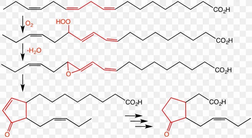Jasmonic Acid Jasmonate Allene Oxide Biosynthesis, PNG, 4705x2592px, Jasmonic Acid, Acid, Allene, Alphalinolenic Acid, Area Download Free