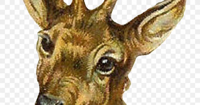 Tiger Horse Reindeer Paper Hyena, PNG, 1096x576px, Tiger Horse, Animal, Antler, Cat, Crocodile Download Free