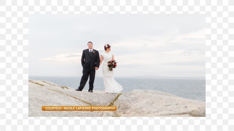 Wedding Dress Stock Photography, PNG, 1920x1080px, Wedding Dress, Bridal Clothing, Dress, Gown, Honeymoon Download Free