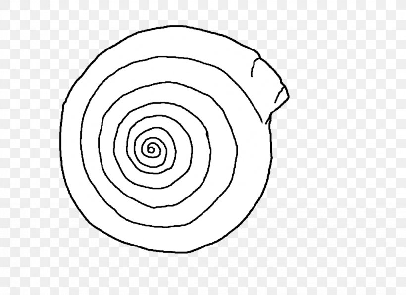 Circle Spiral Angle Sketch, PNG, 1023x744px, Spiral, Area, Arm, Artwork, Black And White Download Free