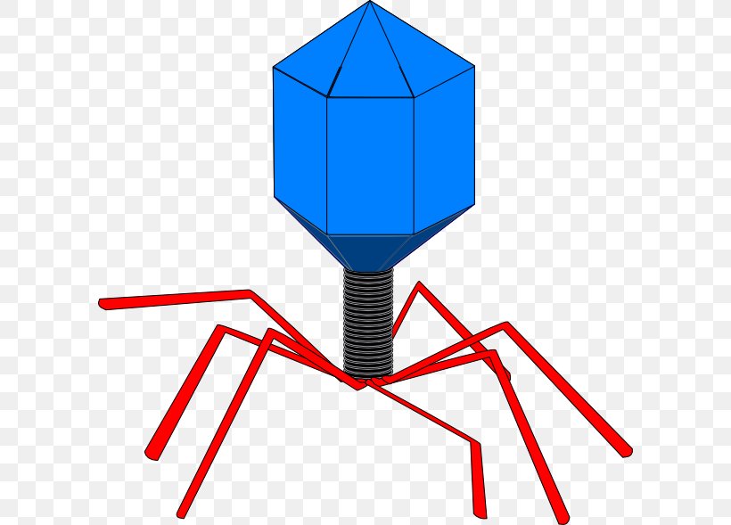 Computer Virus Viral Vector Clip Art, PNG, 600x589px, Virus, Antivirus Software, Area, Bacteriophage, Computer Virus Download Free