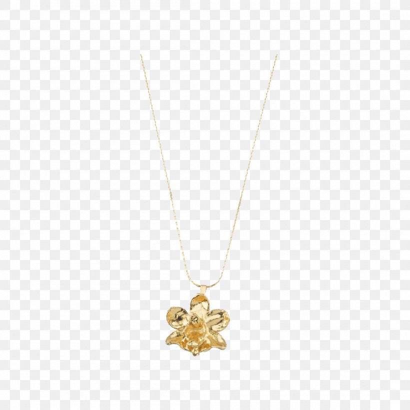 Locket Body Jewellery Necklace, PNG, 1100x1100px, Locket, Body Jewellery, Body Jewelry, Chain, Fashion Accessory Download Free