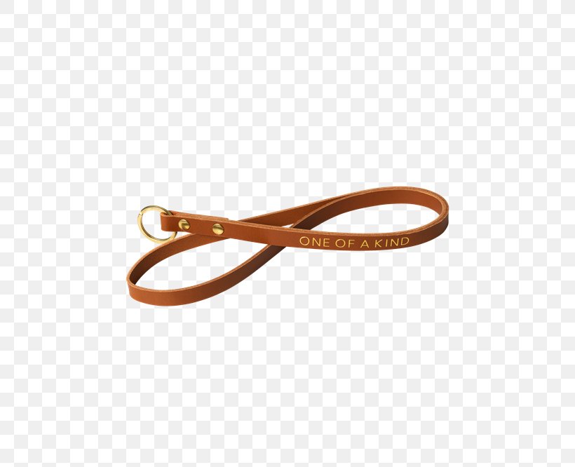 Belt Leash, PNG, 500x666px, Belt, Beige, Fashion Accessory, Leash Download Free