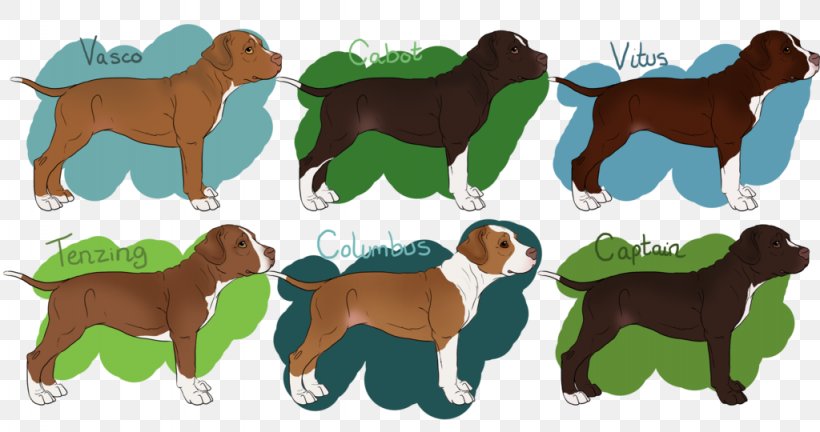 Dog Breed Boykin Spaniel Puppy Boykin, Kershaw County, South Carolina, PNG, 1024x540px, Dog Breed, Boykin Spaniel, Breed, Carnivoran, Crossbreed Download Free