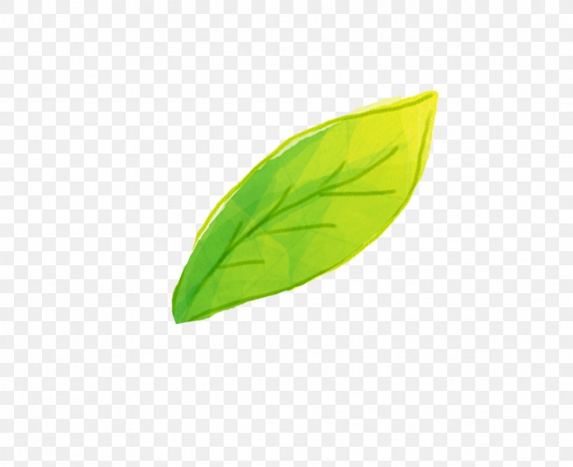 Leaf Wallpaper, PNG, 1088x888px, Leaf, Computer, Grass, Green, Plant Download Free
