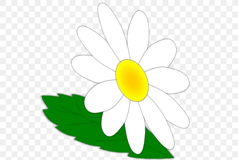 Common Daisy Oxeye Daisy Cut Flowers Common Sunflower Clip Art, PNG, 555x550px, Common Daisy, Artwork, Common Sunflower, Cut Flowers, Daisy Download Free