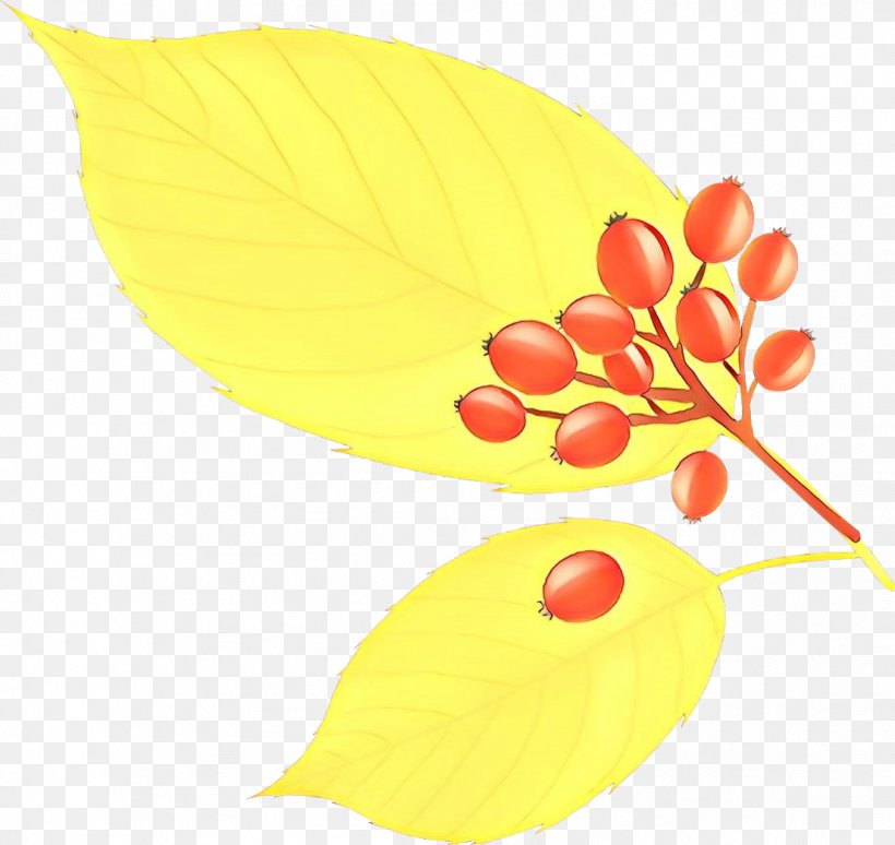 Leaf Yellow Clip Art Plant Flower, PNG, 1106x1044px, Cartoon, Flower, Leaf, Plant, Yellow Download Free