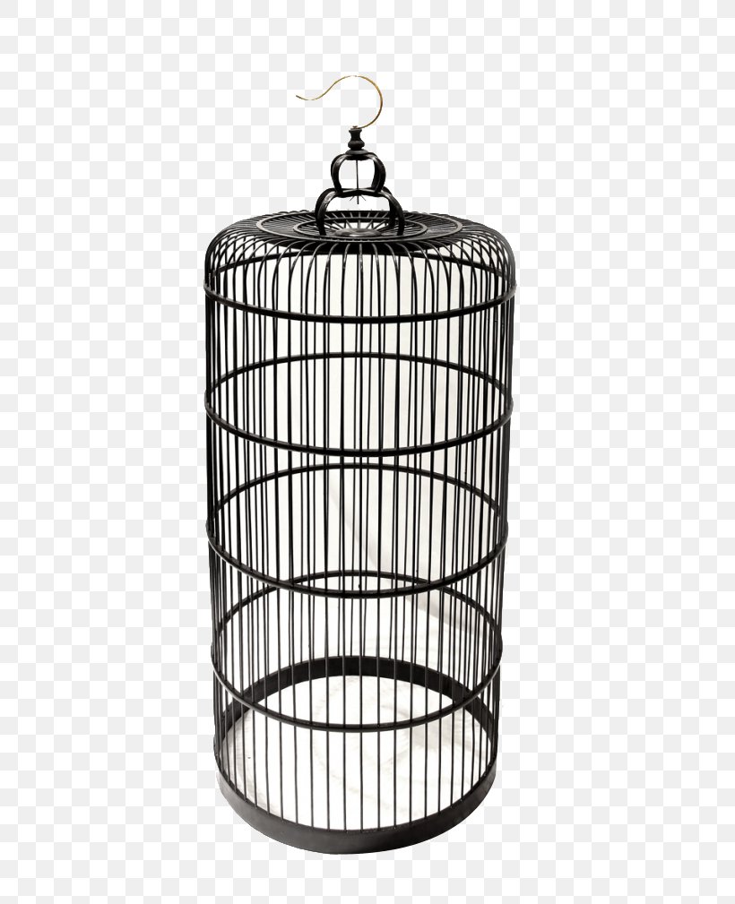 Birdcage Birdcage Iron Cage, PNG, 600x1009px, Bird, Basket, Birdcage, Black And White, Cage Download Free