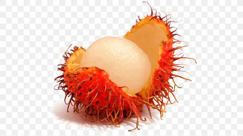 Rambutan Tropical Fruit Lychee Pulasan, PNG, 1600x900px, Rambutan, Carambola, Cashew, Food, Fruit Download Free