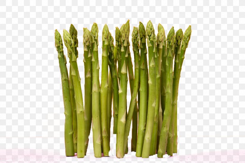 Food Bamboo Computer File, PNG, 1200x800px, Food, Asparagus, Bamboe, Bamboo, Commodity Download Free