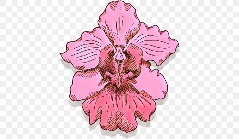 Pink Flower Plant Petal Hibiscus, PNG, 1200x700px, Pink, Flower, Hibiscus, Iris, Mallow Family Download Free